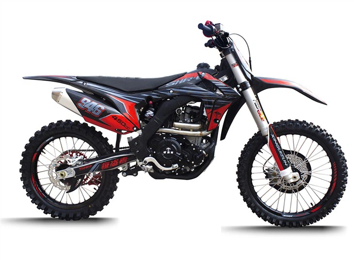 EcoRider 300